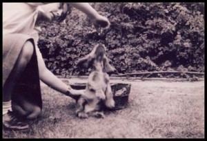 Mum&Spaniel